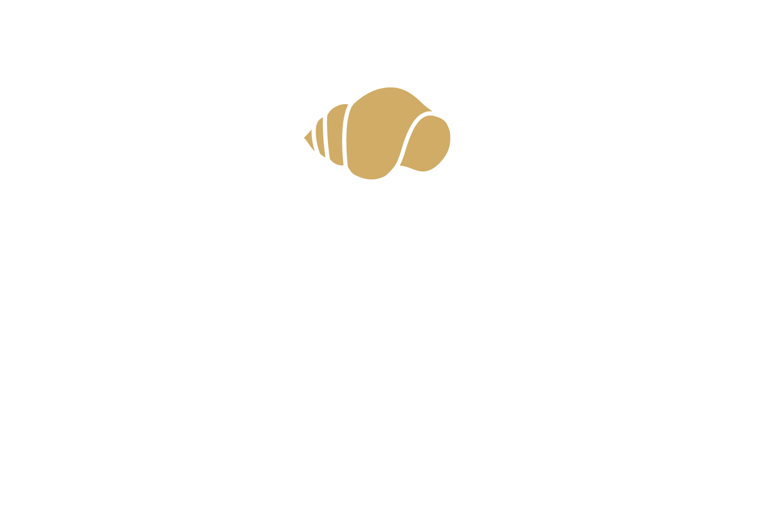 logo-secrets-st-martin-b